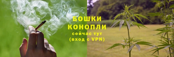 MESCALINE Заводоуковск